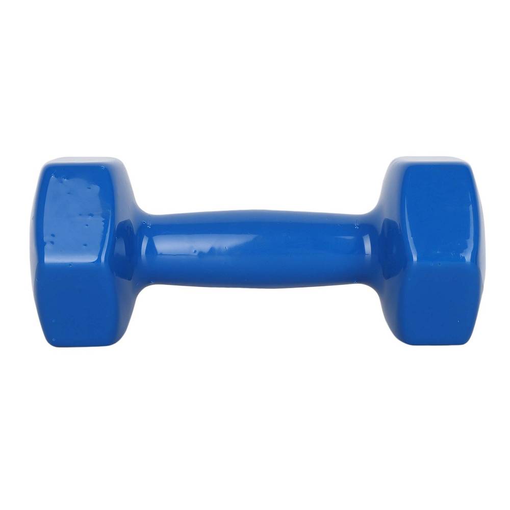 2024 most Recommended MagFit Vinyl Dumbell (5kg) (Blue)