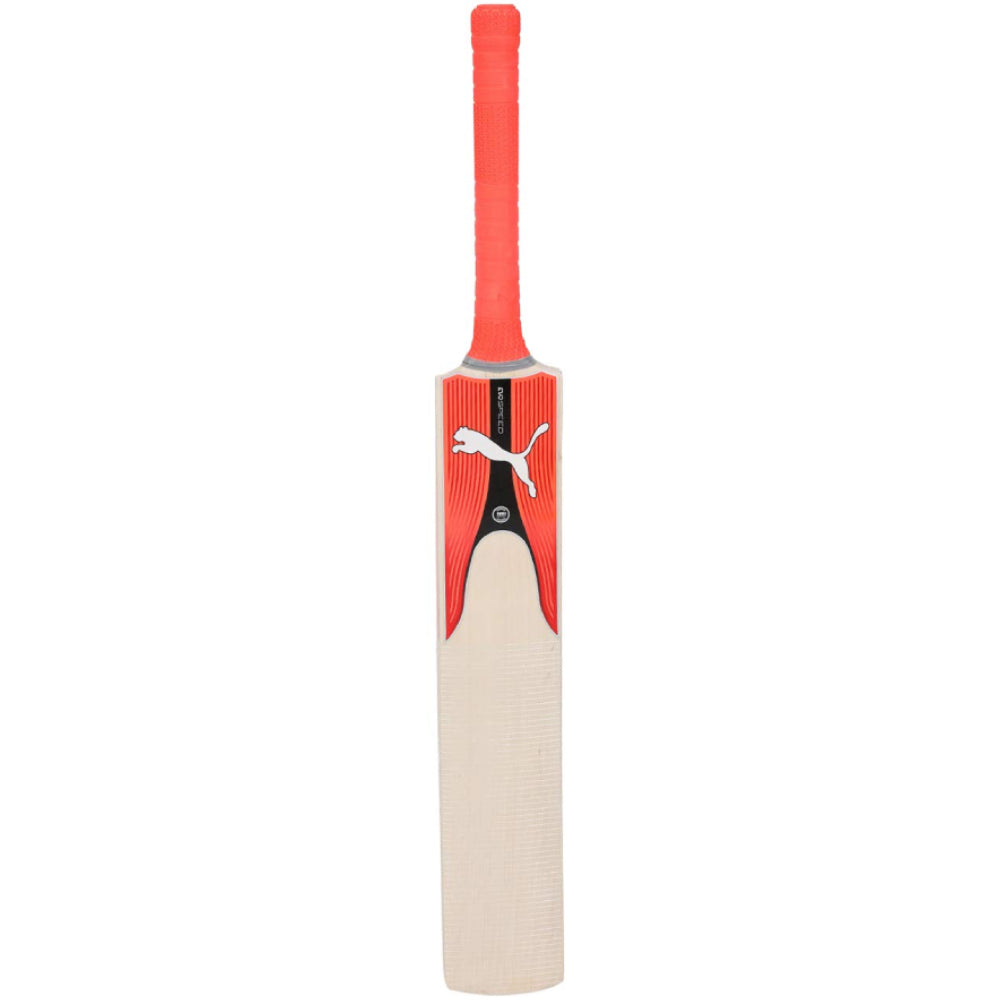 2024 Best grade Puma Evospeed Kashmir Willow Cricket Bat