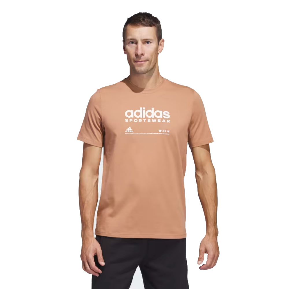 best adidas t-shirt and top