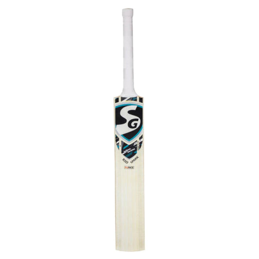 2024 Most recommended SG RSD Spark Kashmir Willow Cricket Bat