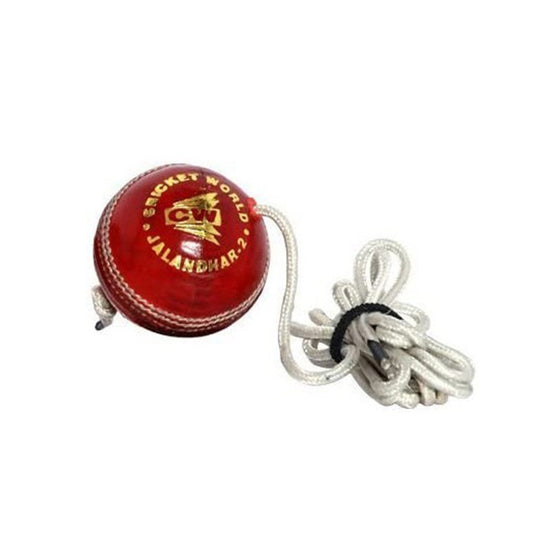CW Hanging Ball (Assorted)