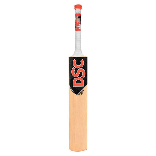 Top Recommened DSC Intense Zeal Kashmir Willow Cricket Bat