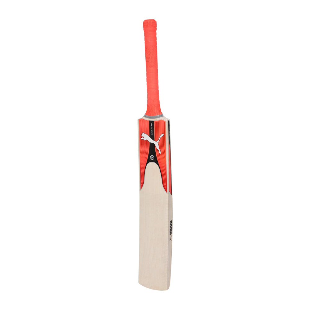 2024 latest Puma Evospeed Kashmir Willow Cricket Bat