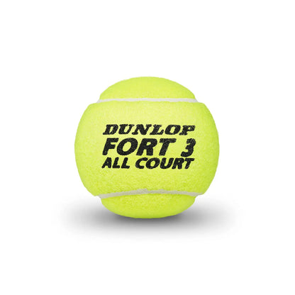 Recommended DUNLOP Fort All Court Tennis Balls