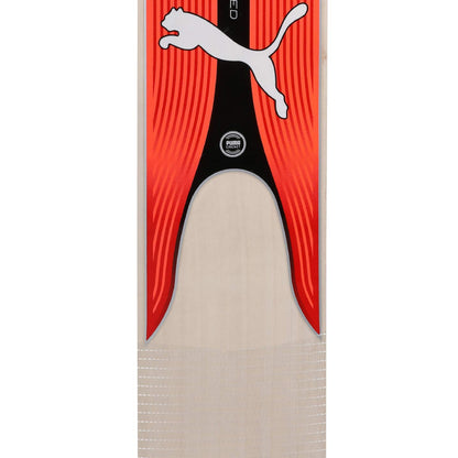 2024 Most players Recommened Puma Evospeed Kashmir Willow Cricket Bat