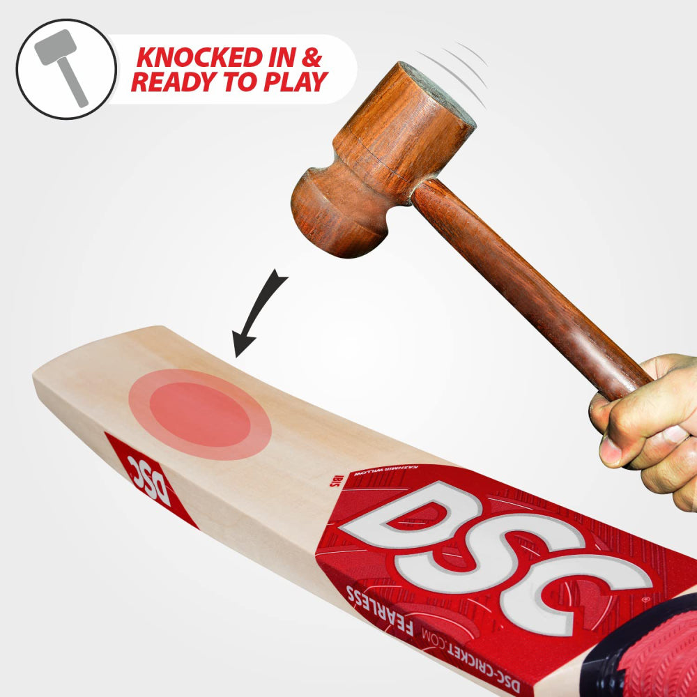 DSC IBIS Kashmir Willow Cricket Bat (85 Cm)