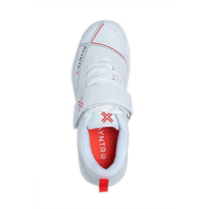 latest payntr cricket shoes